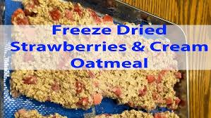 Freeze Dried Strawberry & Cream Oatmeal